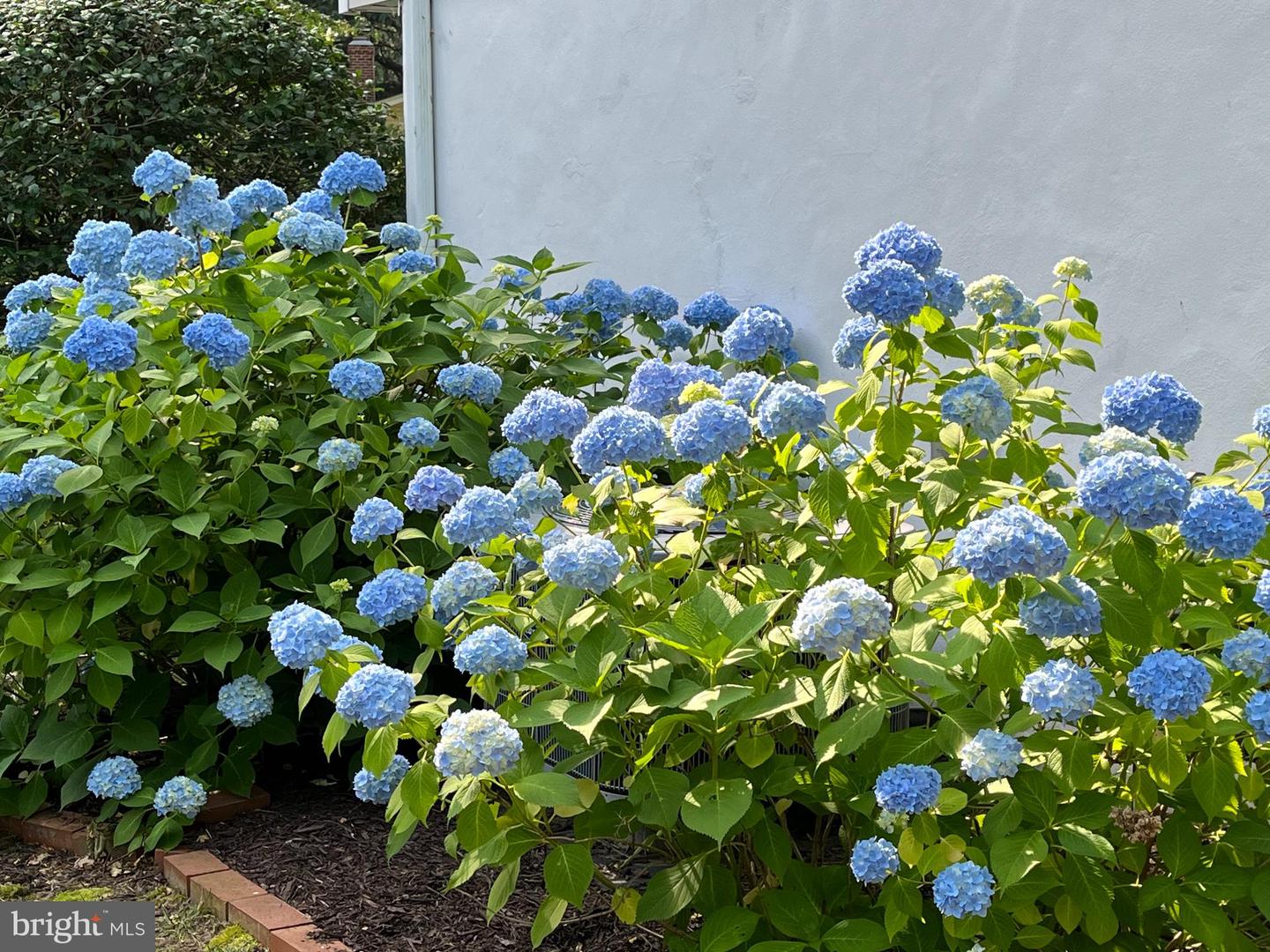 6009 JENNINGS LN, SPRINGFIELD, Virginia 22150, 6 Bedrooms Bedrooms, ,3 BathroomsBathrooms,Residential,For sale,6009 JENNINGS LN,VAFX2276018 MLS # VAFX2276018 6009 JENNINGS LN, SPRINGFIELD, Virginia 22150, 6 Bedrooms Bedrooms, ,3 BathroomsBathrooms,Residential,For sale,6009 JENNINGS LN,VAFX2276018 MLS # VAFX2276018