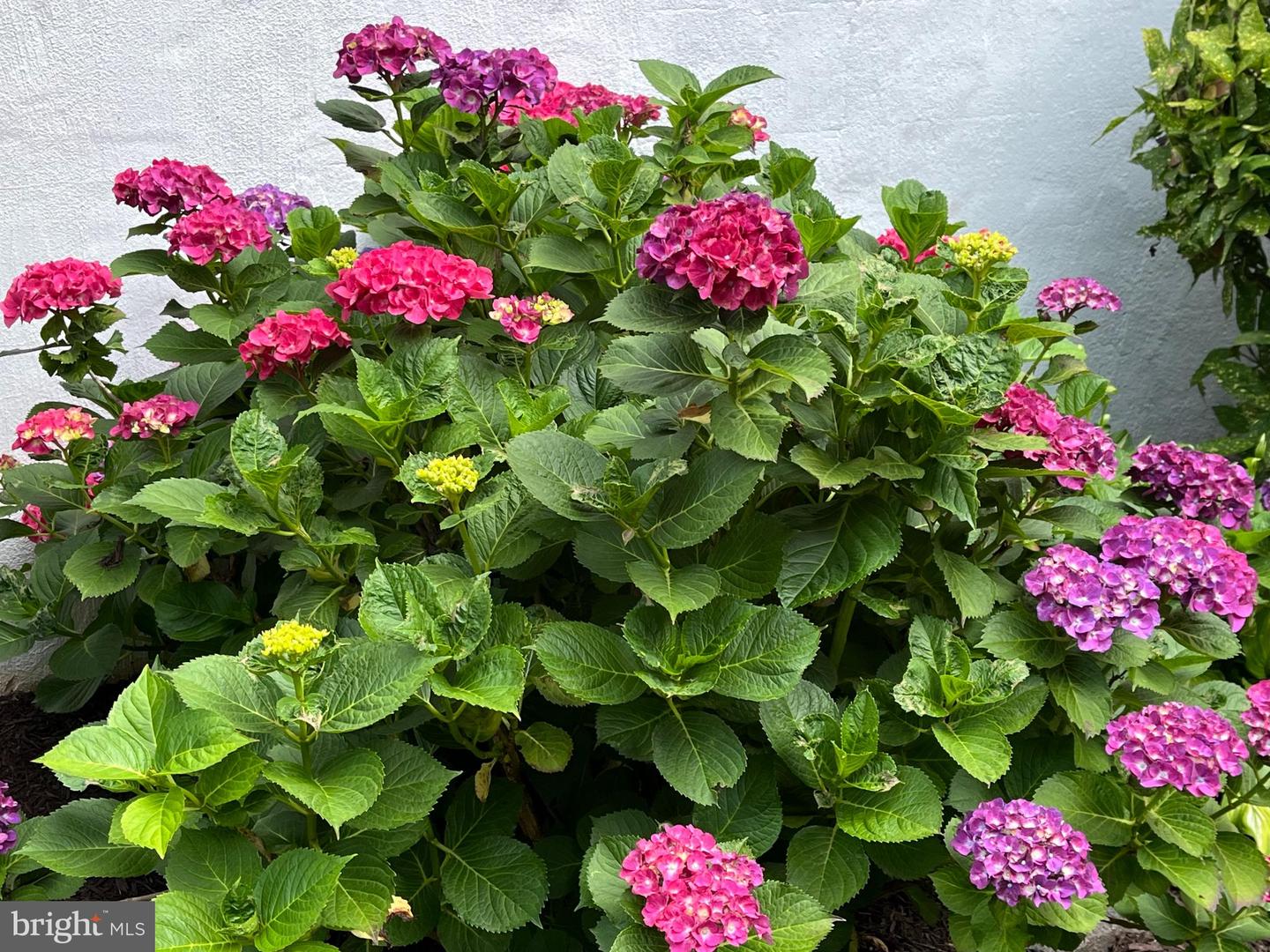 6009 JENNINGS LN, SPRINGFIELD, Virginia 22150, 6 Bedrooms Bedrooms, ,3 BathroomsBathrooms,Residential,For sale,6009 JENNINGS LN,VAFX2276018 MLS # VAFX2276018 6009 JENNINGS LN, SPRINGFIELD, Virginia 22150, 6 Bedrooms Bedrooms, ,3 BathroomsBathrooms,Residential,For sale,6009 JENNINGS LN,VAFX2276018 MLS # VAFX2276018