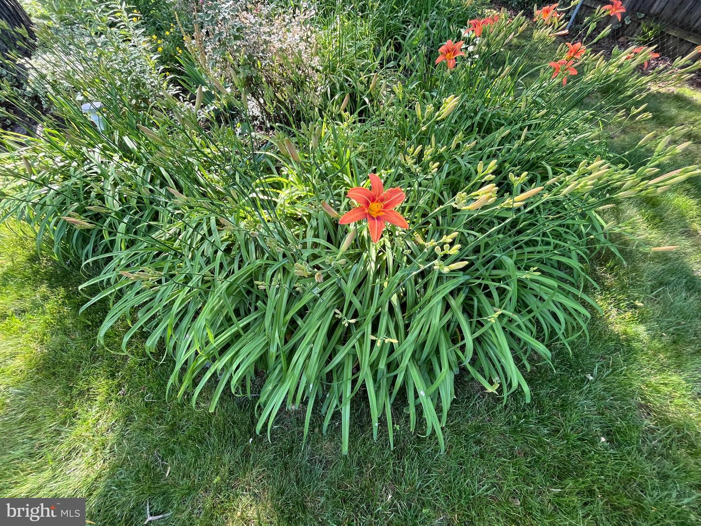 6009 JENNINGS LN, SPRINGFIELD, Virginia 22150, 6 Bedrooms Bedrooms, ,3 BathroomsBathrooms,Residential,For sale,6009 JENNINGS LN,VAFX2276018 MLS # VAFX2276018 6009 JENNINGS LN, SPRINGFIELD, Virginia 22150, 6 Bedrooms Bedrooms, ,3 BathroomsBathrooms,Residential,For sale,6009 JENNINGS LN,VAFX2276018 MLS # VAFX2276018