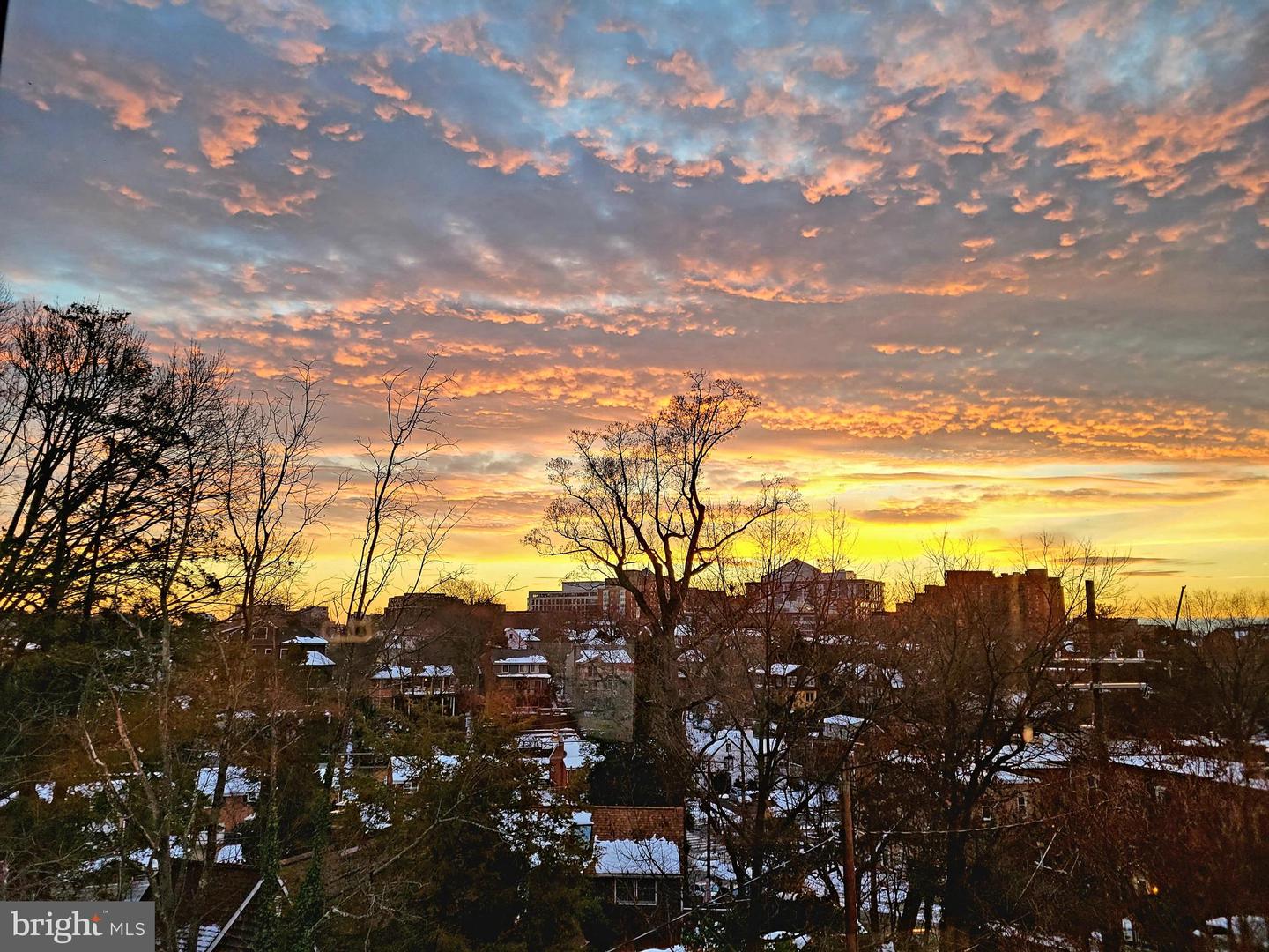 3431 14TH ST N, ARLINGTON, Virginia 22201, 4 Bedrooms Bedrooms, ,4 BathroomsBathrooms,Residential,For sale,3431 14TH ST N,VAAR2067232 MLS # VAAR2067232