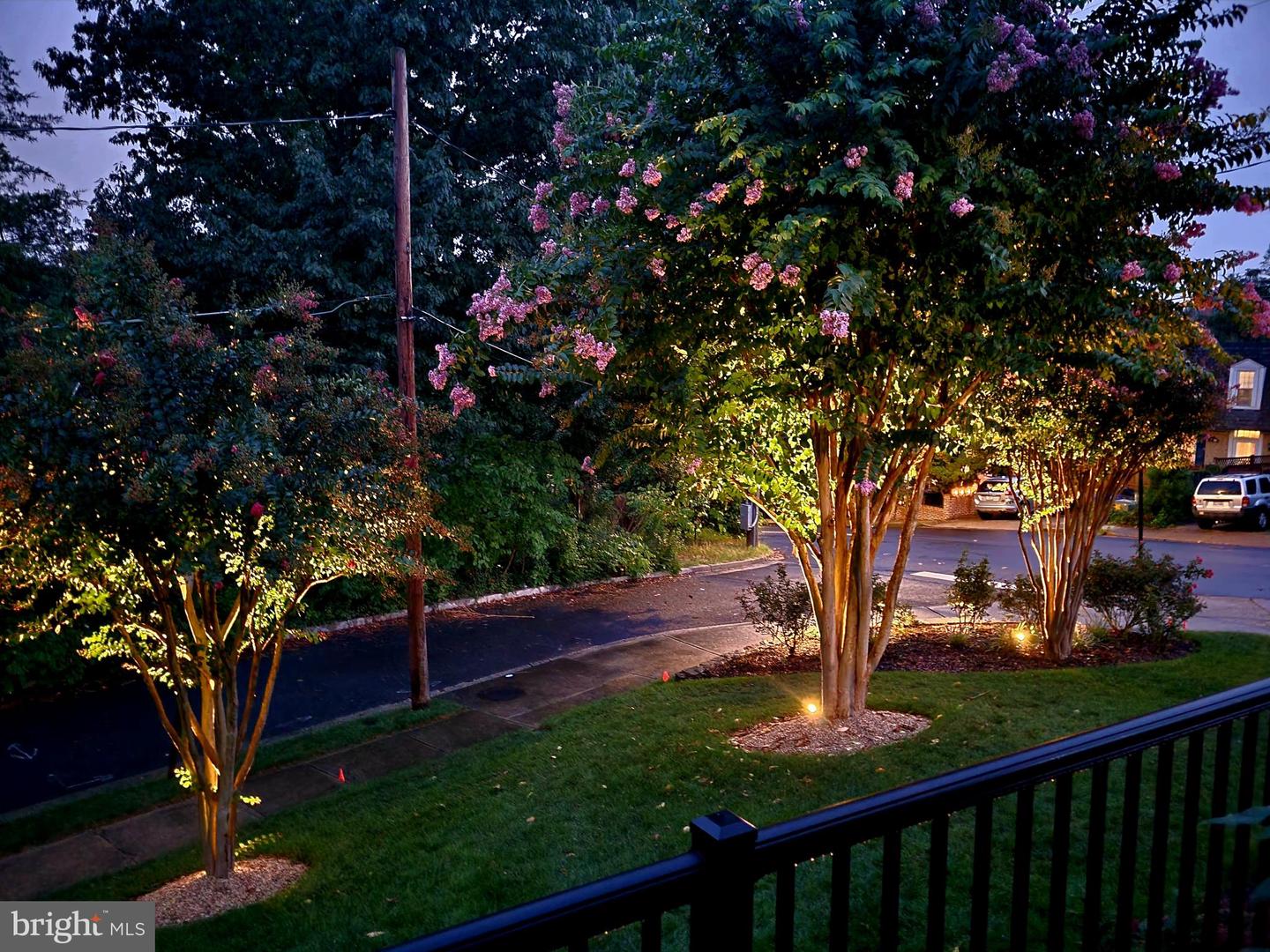 3431 14TH ST N, ARLINGTON, Virginia 22201, 4 Bedrooms Bedrooms, ,4 BathroomsBathrooms,Residential,For sale,3431 14TH ST N,VAAR2067232 MLS # VAAR2067232