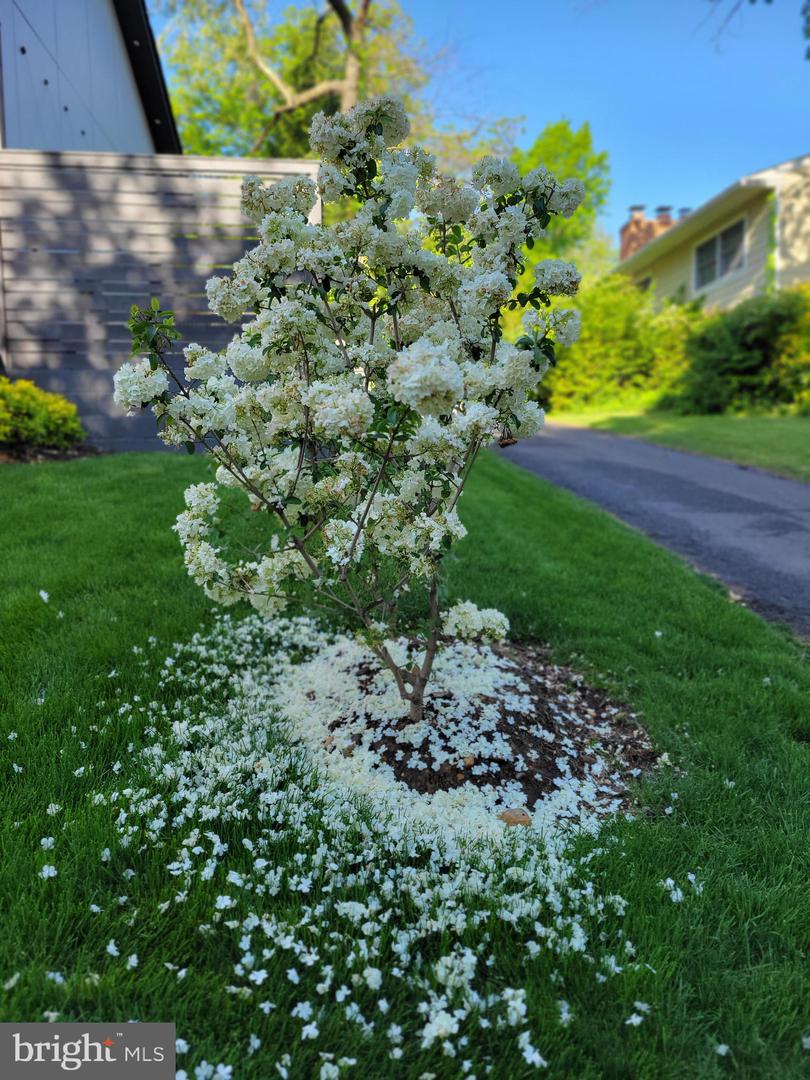 3431 14TH ST N, ARLINGTON, Virginia 22201, 4 Bedrooms Bedrooms, ,4 BathroomsBathrooms,Residential,For sale,3431 14TH ST N,VAAR2067232 MLS # VAAR2067232