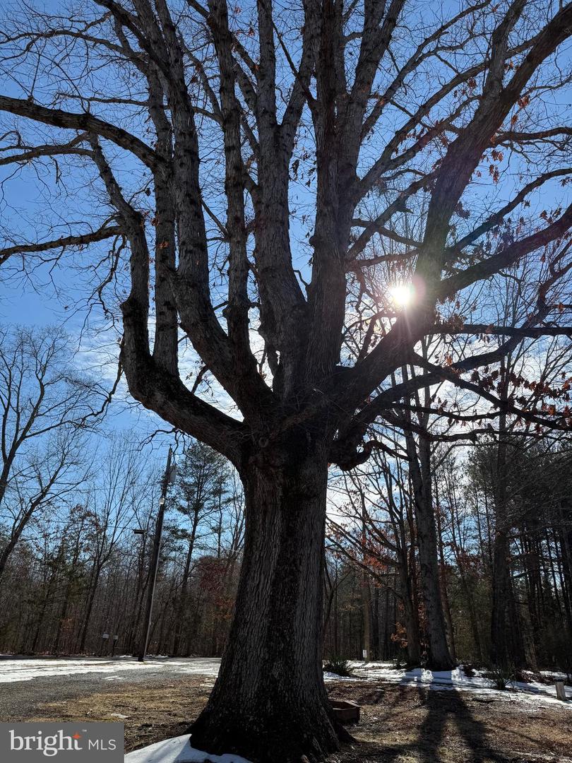 143 CHARLES LN, LOUISA, Virginia 23093, 3 Bedrooms Bedrooms, ,2 BathroomsBathrooms,Residential,For sale,143 CHARLES LN,VALA2009116 MLS # VALA2009116