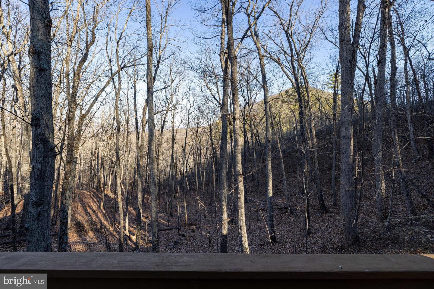 103 BUZZARD VIEW PL, SHENANDOAH, Virginia 22849, 3 Bedrooms Bedrooms, ,1 BathroomBathrooms,Residential,For sale,103 BUZZARD VIEW PL,VAPA2005940 MLS # VAPA2005940