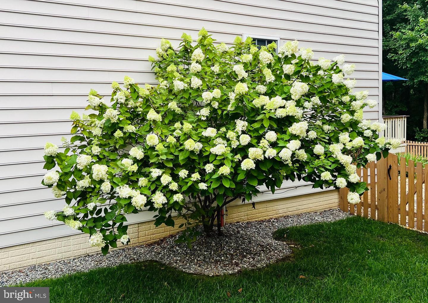 115 CEDARGROVE PL SW, LEESBURG, Virginia 20175, 4 Bedrooms Bedrooms, ,2 BathroomsBathrooms,Residential,For sale,115 CEDARGROVE PL SW,VALO2115472 MLS # VALO2115472