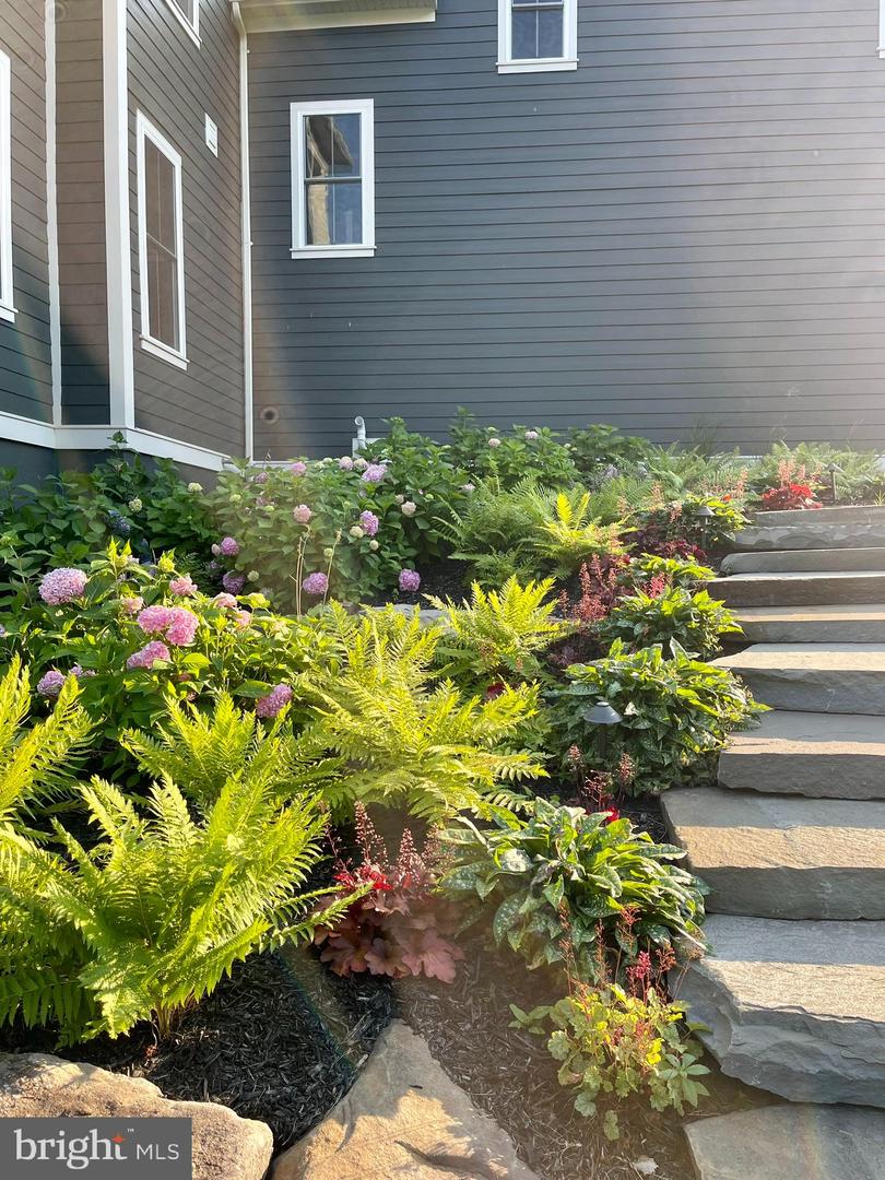 23248 MEADOW STAR PL, ALDIE, Virginia 20105, 5 Bedrooms Bedrooms, ,5 BathroomsBathrooms,Residential,For sale,23248 MEADOW STAR PL,VALO2115576 MLS # VALO2115576