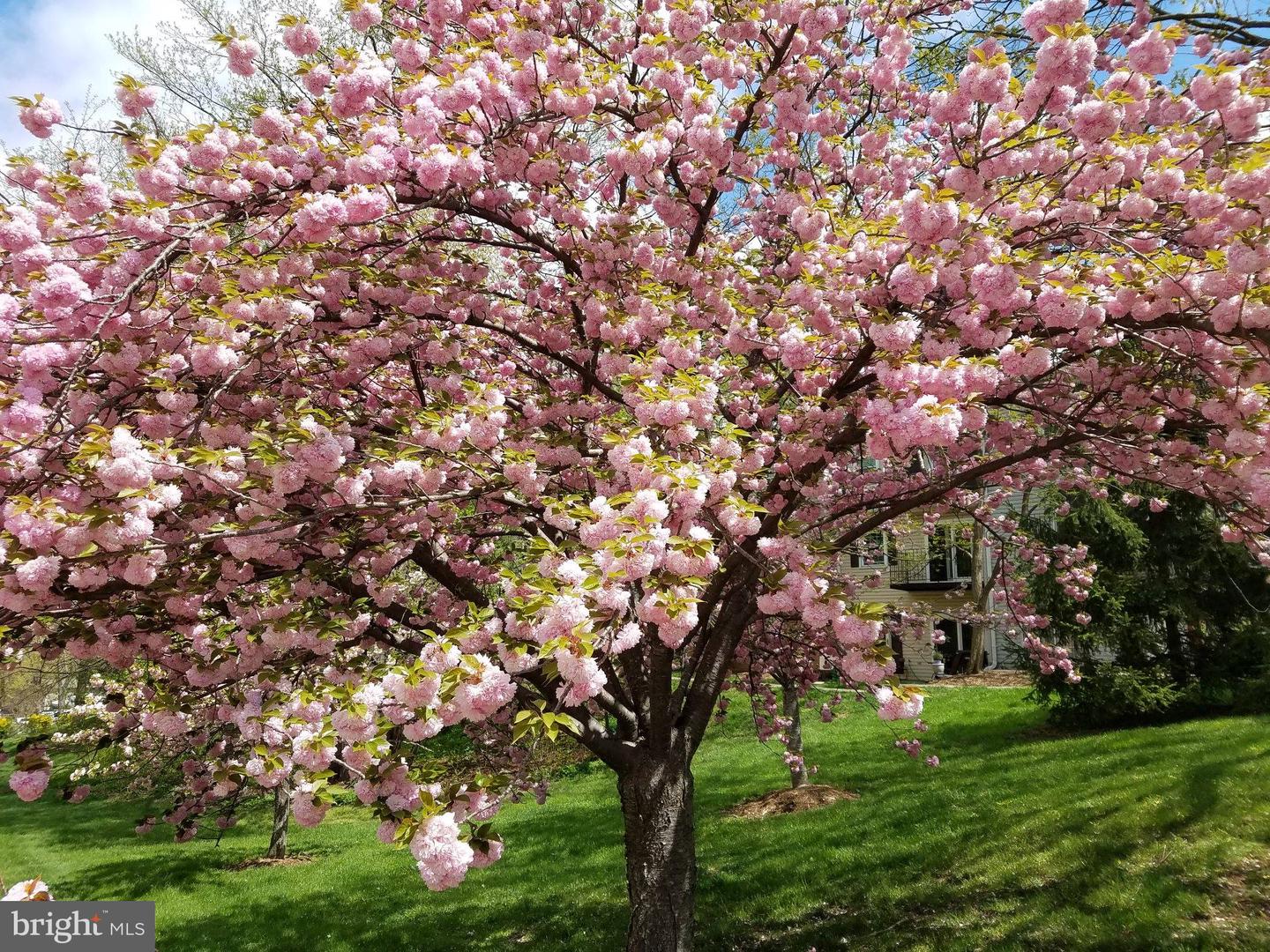 6319 FENESTRA CT #138A, BURKE, Virginia 22015, 2 Bedrooms Bedrooms, ,2 BathroomsBathrooms,Residential,For sale,6319 FENESTRA CT #138A,VAFX2290526 MLS # VAFX2290526 6319 FENESTRA CT #138A, BURKE, Virginia 22015, 2 Bedrooms Bedrooms, ,2 BathroomsBathrooms,Residential,For sale,6319 FENESTRA CT #138A,VAFX2290526 MLS # VAFX2290526