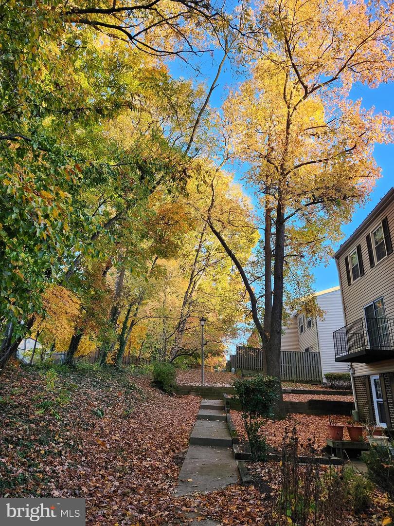 6319 FENESTRA CT #138A, BURKE, Virginia 22015, 2 Bedrooms Bedrooms, ,2 BathroomsBathrooms,Residential,For sale,6319 FENESTRA CT #138A,VAFX2290526 MLS # VAFX2290526 6319 FENESTRA CT #138A, BURKE, Virginia 22015, 2 Bedrooms Bedrooms, ,2 BathroomsBathrooms,Residential,For sale,6319 FENESTRA CT #138A,VAFX2290526 MLS # VAFX2290526