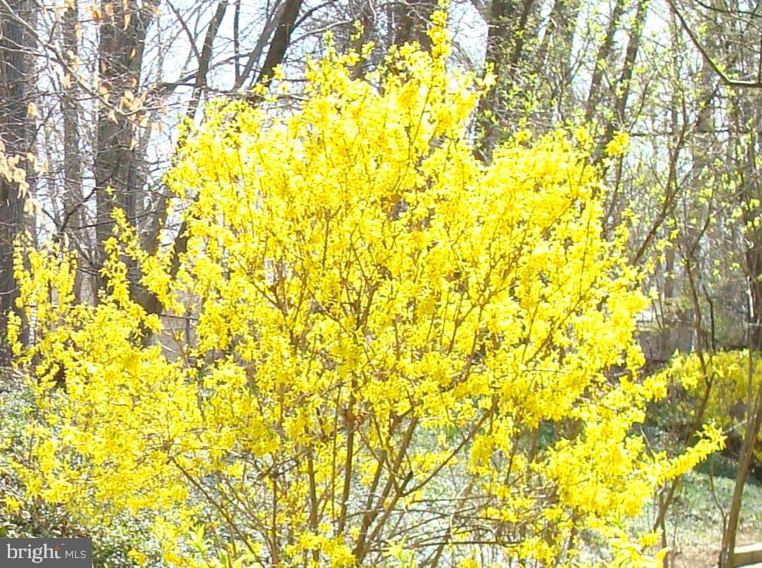 6319 FENESTRA CT #138A, BURKE, Virginia 22015, 2 Bedrooms Bedrooms, ,2 BathroomsBathrooms,Residential,For sale,6319 FENESTRA CT #138A,VAFX2290526 MLS # VAFX2290526 6319 FENESTRA CT #138A, BURKE, Virginia 22015, 2 Bedrooms Bedrooms, ,2 BathroomsBathrooms,Residential,For sale,6319 FENESTRA CT #138A,VAFX2290526 MLS # VAFX2290526