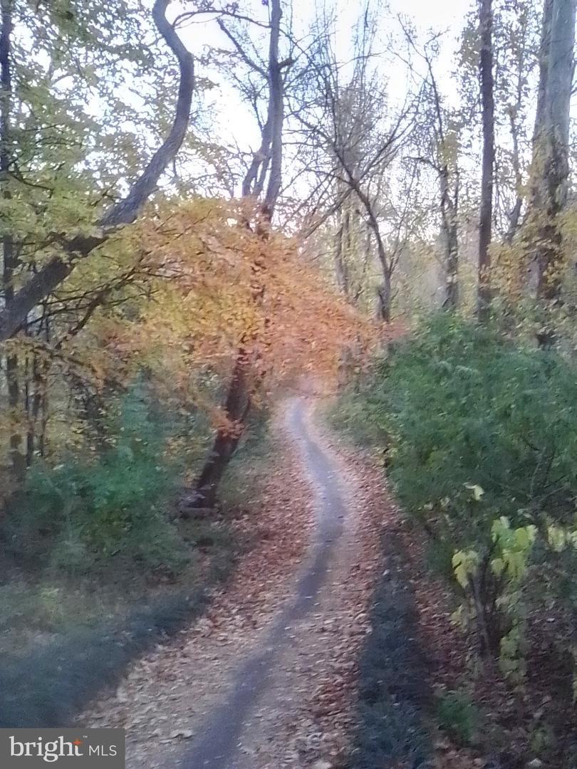 6319 FENESTRA CT #138A, BURKE, Virginia 22015, 2 Bedrooms Bedrooms, ,2 BathroomsBathrooms,Residential,For sale,6319 FENESTRA CT #138A,VAFX2290526 MLS # VAFX2290526 6319 FENESTRA CT #138A, BURKE, Virginia 22015, 2 Bedrooms Bedrooms, ,2 BathroomsBathrooms,Residential,For sale,6319 FENESTRA CT #138A,VAFX2290526 MLS # VAFX2290526