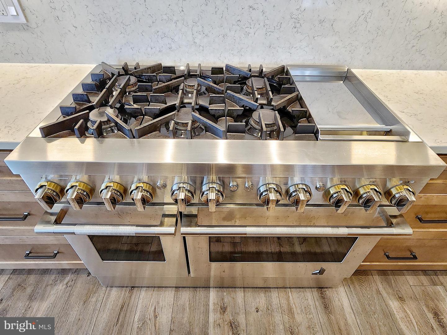 24586 SAMSARA PL, ALDIE, Virginia 20105, 5 Bedrooms Bedrooms, ,5 BathroomsBathrooms,Residential,For sale,24586 SAMSARA PL,VALO2115758 MLS # VALO2115758