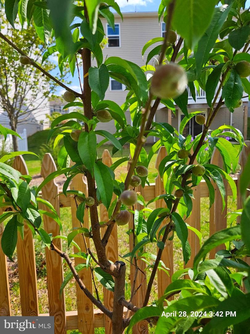 2121 CHESTNUT DRIVE, CULPEPER, Virginia 22701, 3 Bedrooms Bedrooms, ,2 BathroomsBathrooms,Residential,For sale,2121 CHESTNUT DRIVE,VACU2012676 MLS # VACU2012676 2121 CHESTNUT DRIVE, CULPEPER, Virginia 22701, 3 Bedrooms Bedrooms, ,2 BathroomsBathrooms,Residential,For sale,2121 CHESTNUT DRIVE,VACU2012676 MLS # VACU2012676