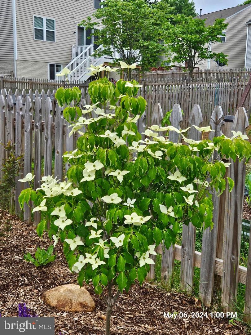 2121 CHESTNUT DRIVE, CULPEPER, Virginia 22701, 3 Bedrooms Bedrooms, ,2 BathroomsBathrooms,Residential,For sale,2121 CHESTNUT DRIVE,VACU2012676 MLS # VACU2012676 2121 CHESTNUT DRIVE, CULPEPER, Virginia 22701, 3 Bedrooms Bedrooms, ,2 BathroomsBathrooms,Residential,For sale,2121 CHESTNUT DRIVE,VACU2012676 MLS # VACU2012676