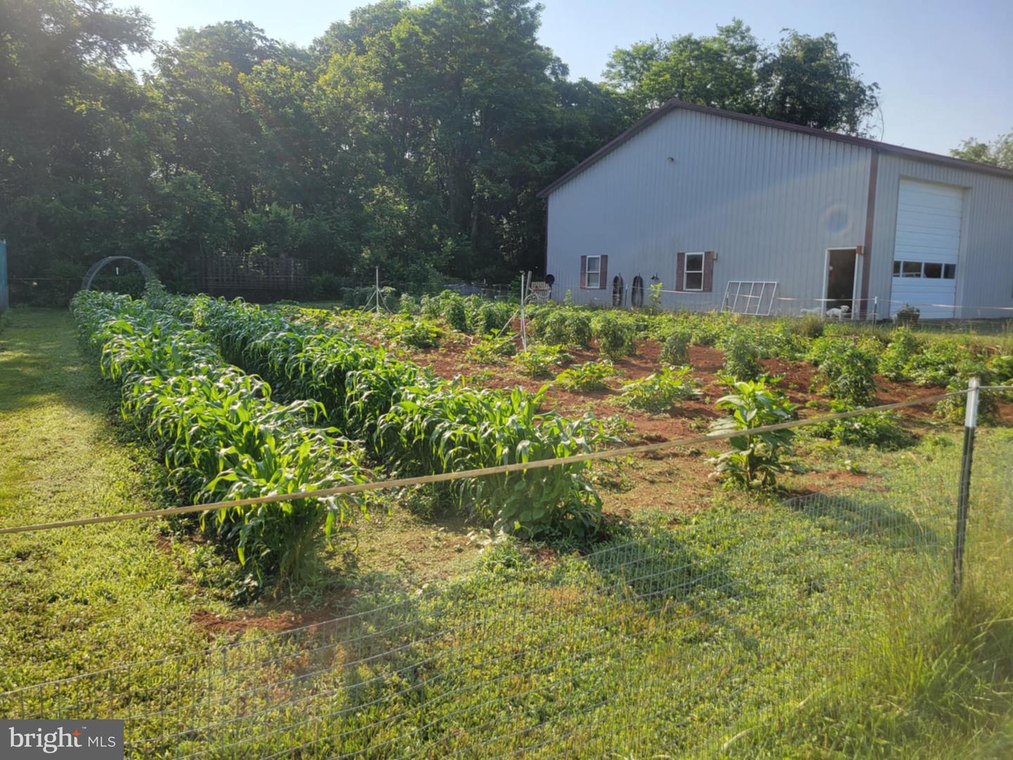 11576 WALTERS RD, ORANGE, Virginia 22960, 3 Bedrooms Bedrooms, ,2 BathroomsBathrooms,Residential,For sale,11576 WALTERS RD,VAOR2013308 MLS # VAOR2013308