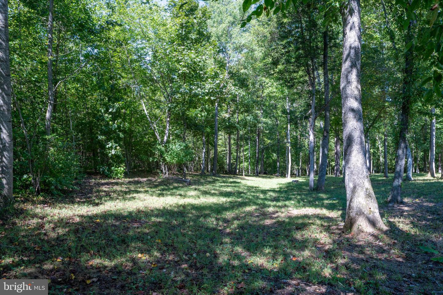 887 HICKORY CREEK RD, LOUISA, Virginia 23093, 3 Bedrooms Bedrooms, ,3 BathroomsBathrooms,Residential,For sale,887 HICKORY CREEK RD,VALA2009302 MLS # VALA2009302