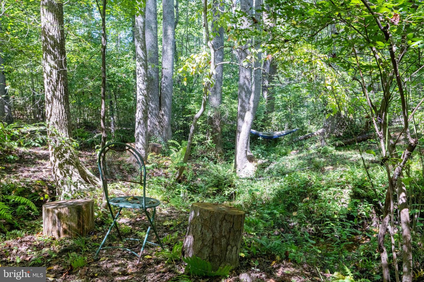 887 HICKORY CREEK RD, LOUISA, Virginia 23093, 3 Bedrooms Bedrooms, ,3 BathroomsBathrooms,Residential,For sale,887 HICKORY CREEK RD,VALA2009302 MLS # VALA2009302