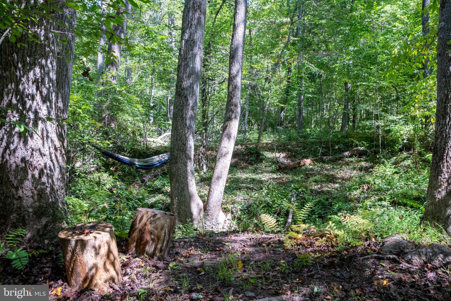 887 HICKORY CREEK RD, LOUISA, Virginia 23093, 3 Bedrooms Bedrooms, ,3 BathroomsBathrooms,Residential,For sale,887 HICKORY CREEK RD,VALA2009302 MLS # VALA2009302