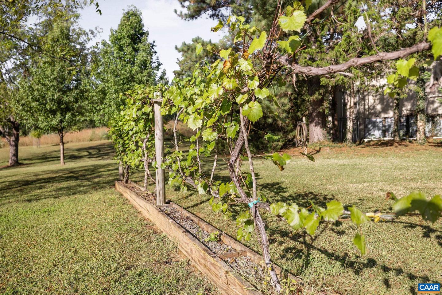 2402 ROCK BRANCH LN, NORTH GARDEN, Virginia 22959, 4 Bedrooms Bedrooms, ,2 BathroomsBathrooms,Residential,For sale,2402 ROCK BRANCH LN,673395 MLS # 673395