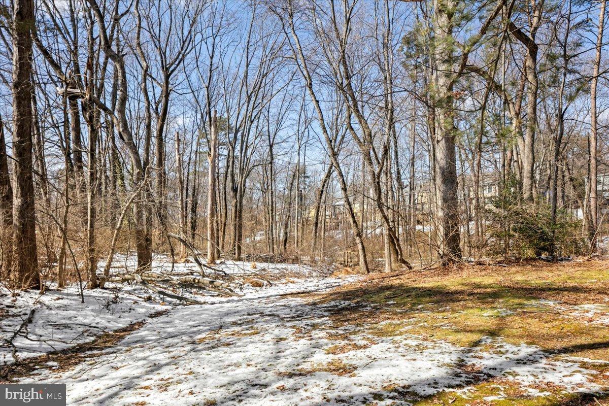 1642 HARVEST GREEN CT, RESTON, Virginia 20194, 2 Bedrooms Bedrooms, 4 Rooms Rooms,1 BathroomBathrooms,Residential,For sale,1642 HARVEST GREEN CT,VAFX2291794 MLS # VAFX2291794 1642 HARVEST GREEN CT, RESTON, Virginia 20194, 2 Bedrooms Bedrooms, 4 Rooms Rooms,1 BathroomBathrooms,Residential,For sale,1642 HARVEST GREEN CT,VAFX2291794 MLS # VAFX2291794