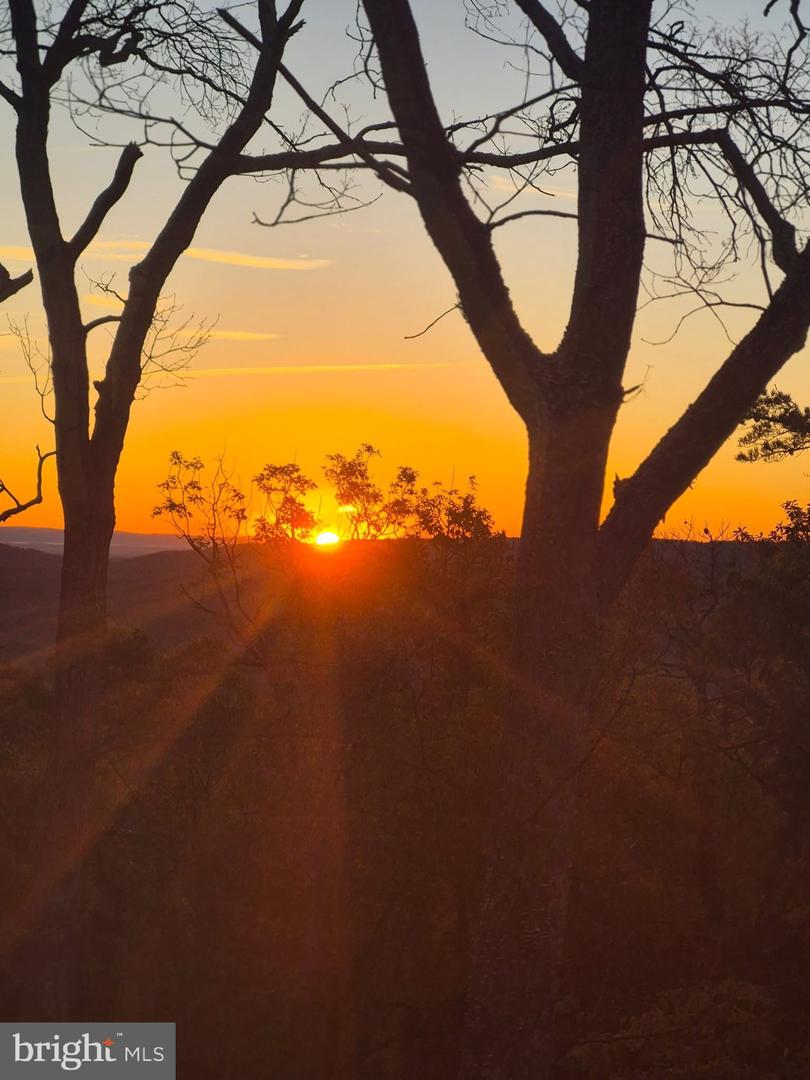 115 DOGWOOD TRL, WINCHESTER, Virginia 22602, 3 Bedrooms Bedrooms, ,2 BathroomsBathrooms,Residential,For sale,115 DOGWOOD TRL,VAFV2039682 MLS # VAFV2039682