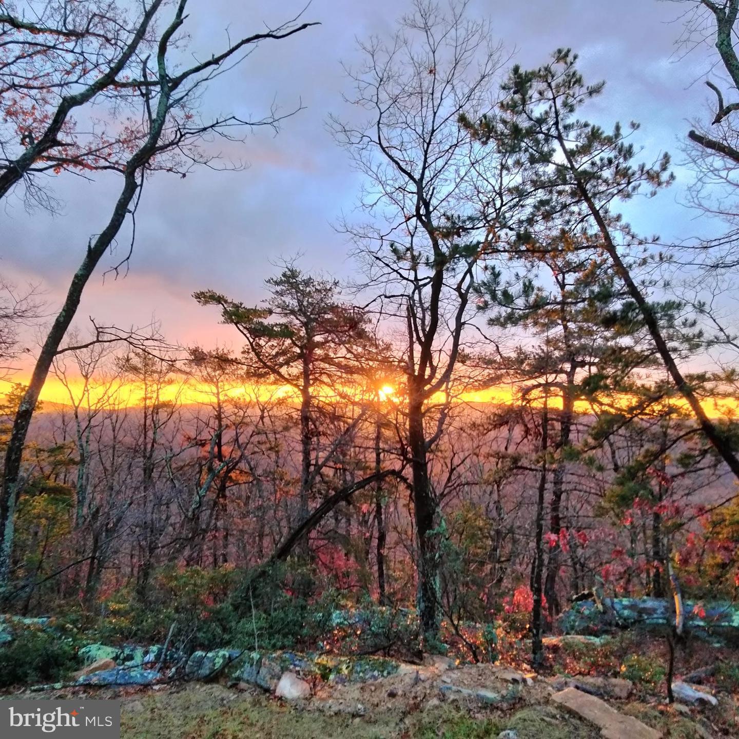 115 DOGWOOD TRL, WINCHESTER, Virginia 22602, 3 Bedrooms Bedrooms, ,2 BathroomsBathrooms,Residential,For sale,115 DOGWOOD TRL,VAFV2039682 MLS # VAFV2039682