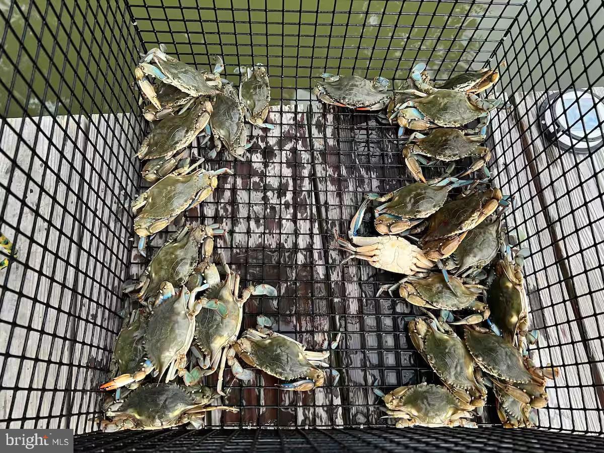 408 SMITH POINT RD, REEDVILLE, Virginia 22539, 3 Bedrooms Bedrooms, 5 Rooms Rooms,2 BathroomsBathrooms,Residential,For sale,408 SMITH POINT RD,VANV2001894 MLS # VANV2001894