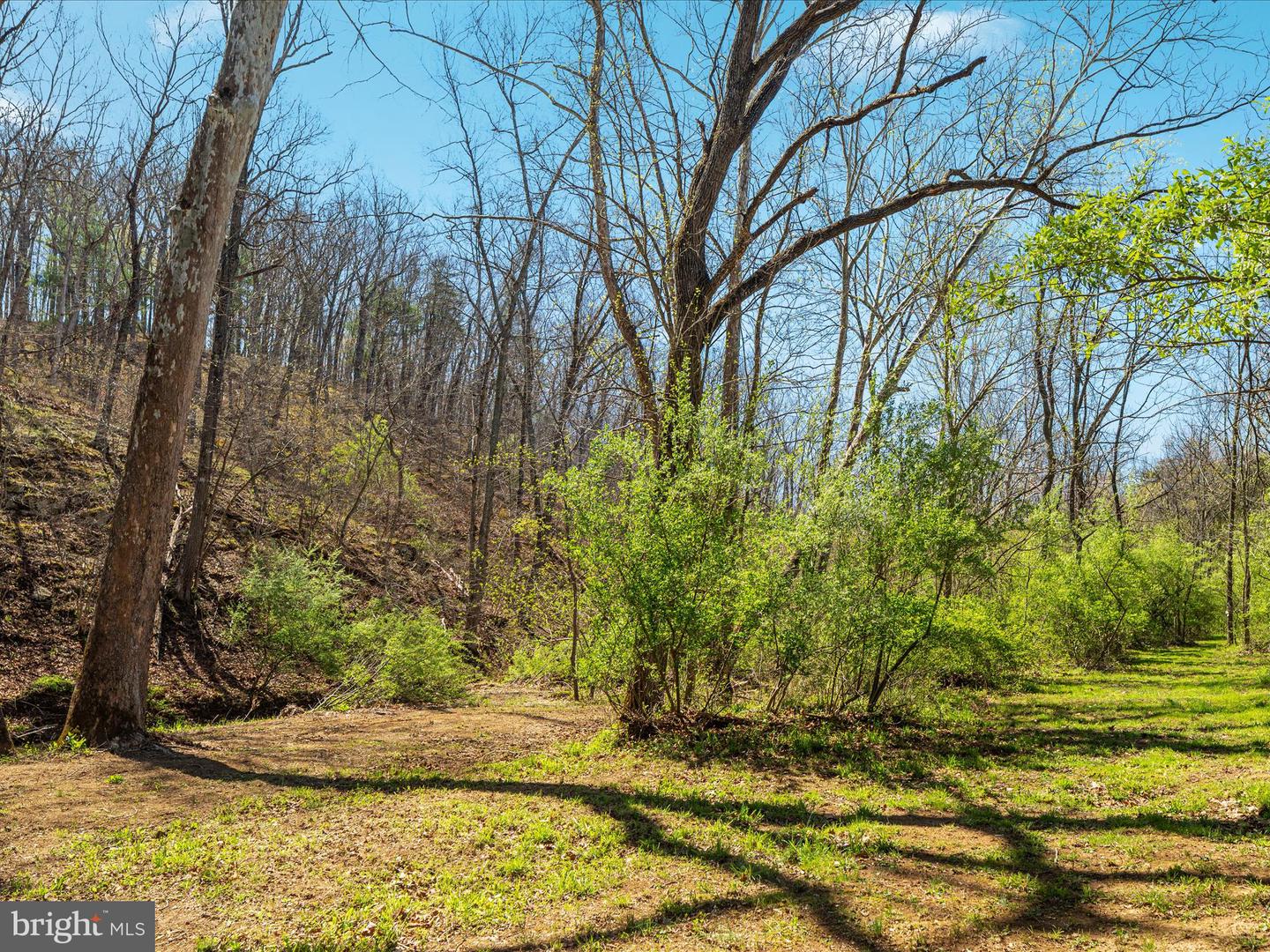 92 OAK HILL CT, STEPHENS CITY, Virginia 22655, 5 Bedrooms Bedrooms, ,3 BathroomsBathrooms,Residential,For sale,92 OAK HILL CT,VAWR2013466 MLS # VAWR2013466