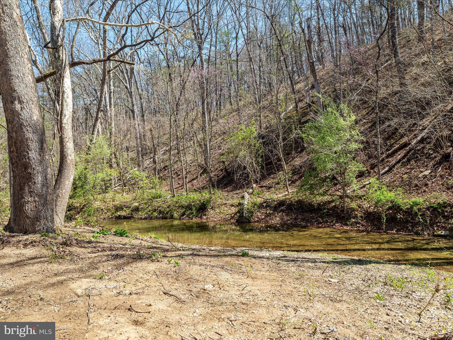 92 OAK HILL CT, STEPHENS CITY, Virginia 22655, 5 Bedrooms Bedrooms, ,3 BathroomsBathrooms,Residential,For sale,92 OAK HILL CT,VAWR2013466 MLS # VAWR2013466