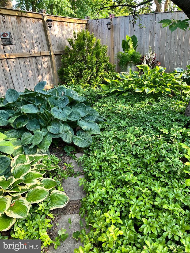 4206 10TH ST NE, WASHINGTON, District Of Columbia 20017, 3 Bedrooms Bedrooms, ,2 BathroomsBathrooms,Residential,For sale,4206 10TH ST NE,DCDC2247476 MLS # DCDC2247476