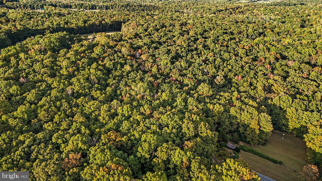 0 OLD PLANK RD, LOCUST GROVE, Virginia 22508, ,Land,For sale,0 OLD PLANK RD,VAOR2012528 MLS # VAOR2012528 0 OLD PLANK RD, LOCUST GROVE, Virginia 22508, ,Land,For sale,0 OLD PLANK RD,VAOR2012528 MLS # VAOR2012528