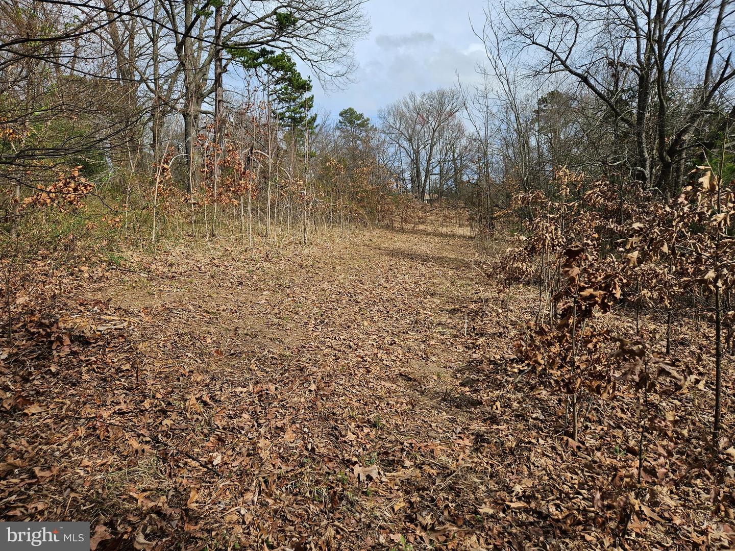 255 BUTLER RD, FREDERICKSBURG, Virginia 22405, ,Land,For sale,255 BUTLER RD,VAST2046314 MLS # VAST2046314