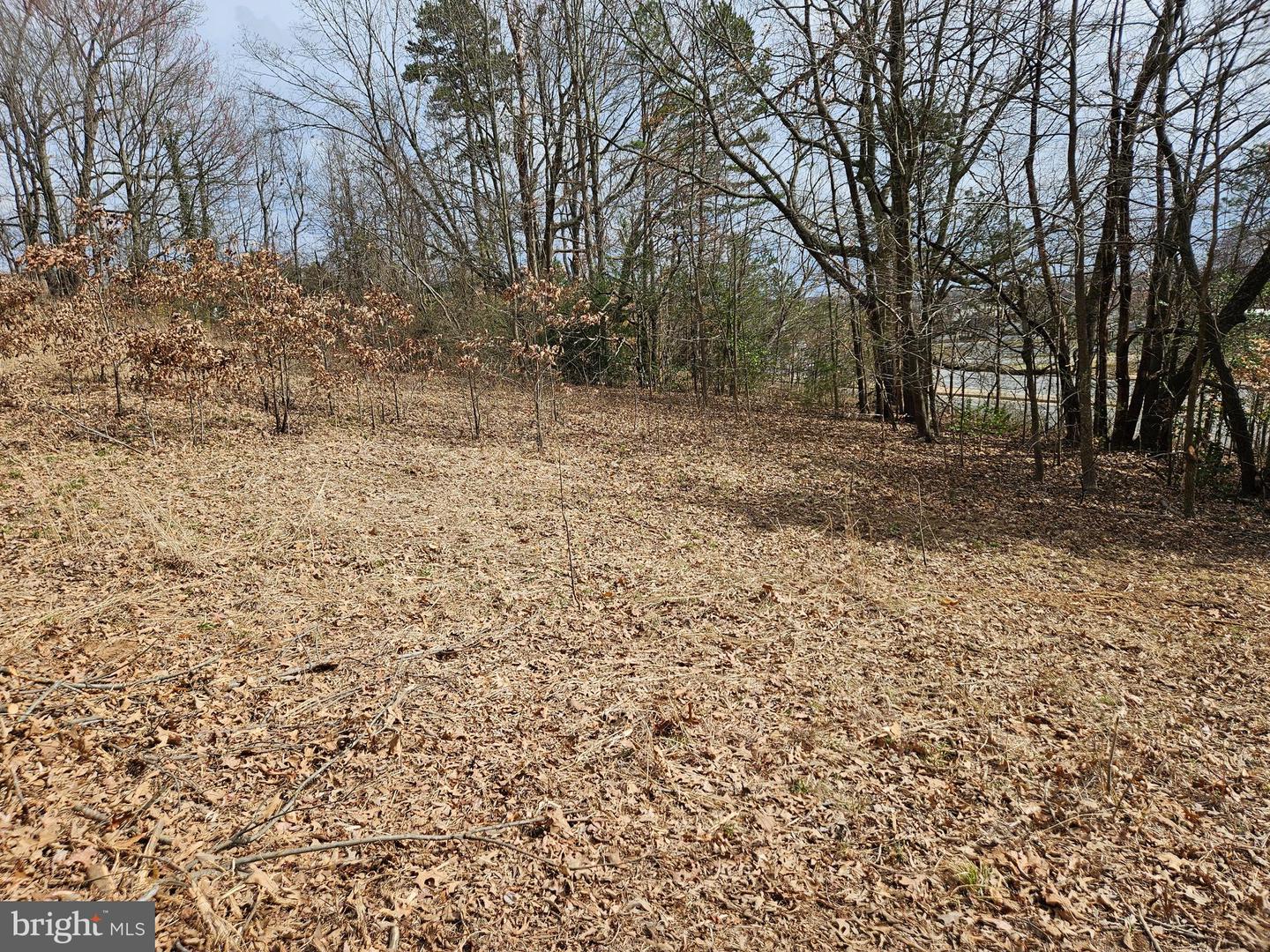 255 BUTLER RD, FREDERICKSBURG, Virginia 22405, ,Land,For sale,255 BUTLER RD,VAST2046314 MLS # VAST2046314