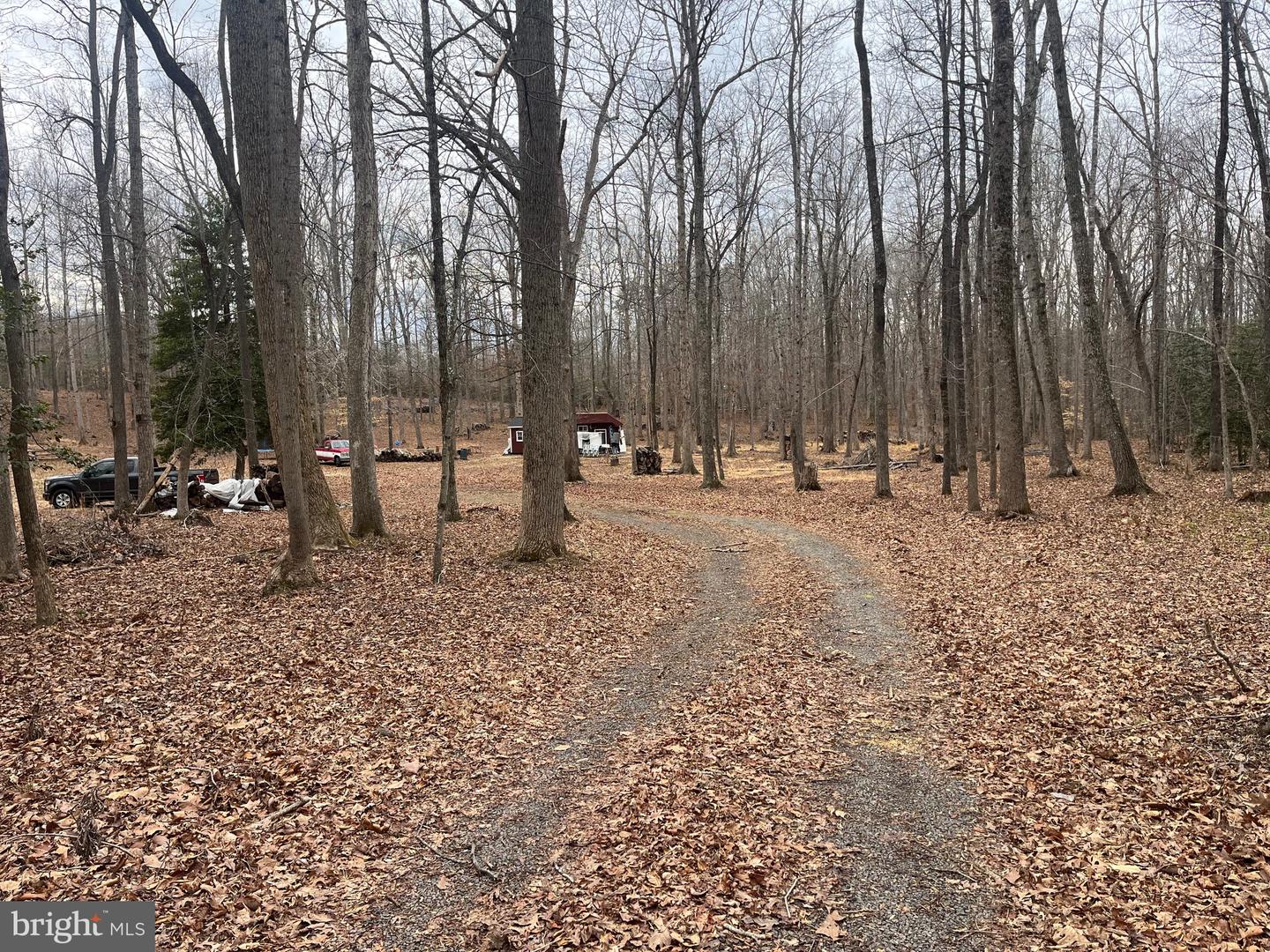 13220 BLACKWOOD FOREST DR, GOLDVEIN, Virginia 22720, ,Land,For sale,13220 BLACKWOOD FOREST DR,VAFQ2020702 MLS # VAFQ2020702 13220 BLACKWOOD FOREST DR, GOLDVEIN, Virginia 22720, ,Land,For sale,13220 BLACKWOOD FOREST DR,VAFQ2020702 MLS # VAFQ2020702