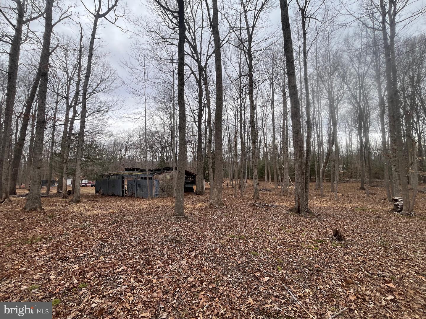 13220 BLACKWOOD FOREST DR, GOLDVEIN, Virginia 22720, ,Land,For sale,13220 BLACKWOOD FOREST DR,VAFQ2020702 MLS # VAFQ2020702 13220 BLACKWOOD FOREST DR, GOLDVEIN, Virginia 22720, ,Land,For sale,13220 BLACKWOOD FOREST DR,VAFQ2020702 MLS # VAFQ2020702