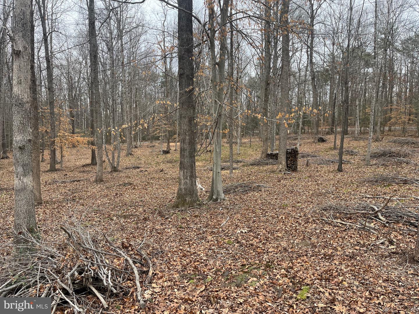 13220 BLACKWOOD FOREST DR, GOLDVEIN, Virginia 22720, ,Land,For sale,13220 BLACKWOOD FOREST DR,VAFQ2020702 MLS # VAFQ2020702 13220 BLACKWOOD FOREST DR, GOLDVEIN, Virginia 22720, ,Land,For sale,13220 BLACKWOOD FOREST DR,VAFQ2020702 MLS # VAFQ2020702