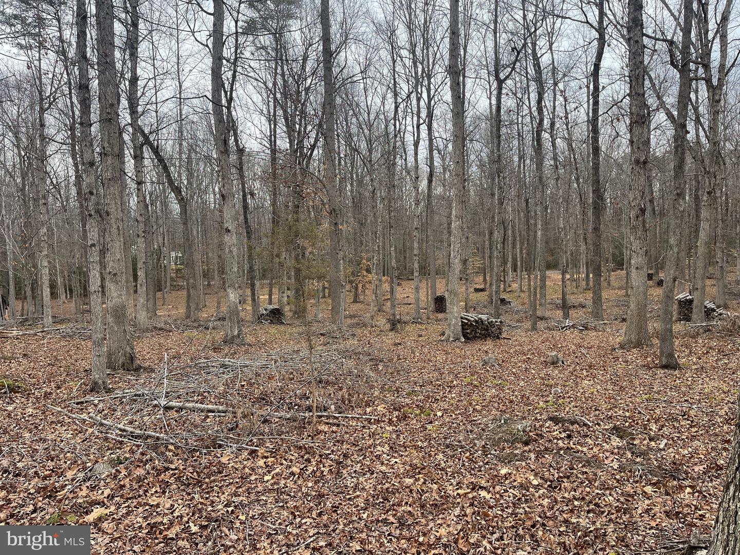 13220 BLACKWOOD FOREST DR, GOLDVEIN, Virginia 22720, ,Land,For sale,13220 BLACKWOOD FOREST DR,VAFQ2020702 MLS # VAFQ2020702 13220 BLACKWOOD FOREST DR, GOLDVEIN, Virginia 22720, ,Land,For sale,13220 BLACKWOOD FOREST DR,VAFQ2020702 MLS # VAFQ2020702