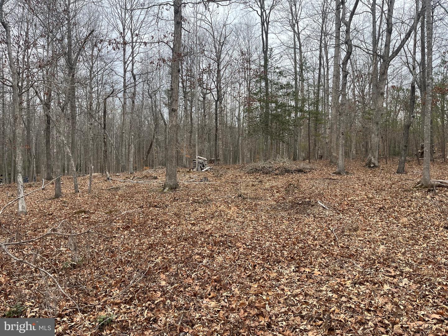 13220 BLACKWOOD FOREST DR, GOLDVEIN, Virginia 22720, ,Land,For sale,13220 BLACKWOOD FOREST DR,VAFQ2020702 MLS # VAFQ2020702 13220 BLACKWOOD FOREST DR, GOLDVEIN, Virginia 22720, ,Land,For sale,13220 BLACKWOOD FOREST DR,VAFQ2020702 MLS # VAFQ2020702