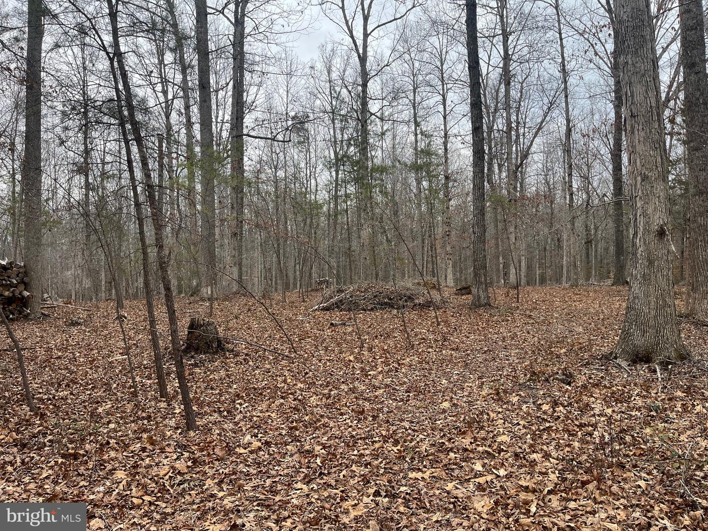 13220 BLACKWOOD FOREST DR, GOLDVEIN, Virginia 22720, ,Land,For sale,13220 BLACKWOOD FOREST DR,VAFQ2020702 MLS # VAFQ2020702 13220 BLACKWOOD FOREST DR, GOLDVEIN, Virginia 22720, ,Land,For sale,13220 BLACKWOOD FOREST DR,VAFQ2020702 MLS # VAFQ2020702