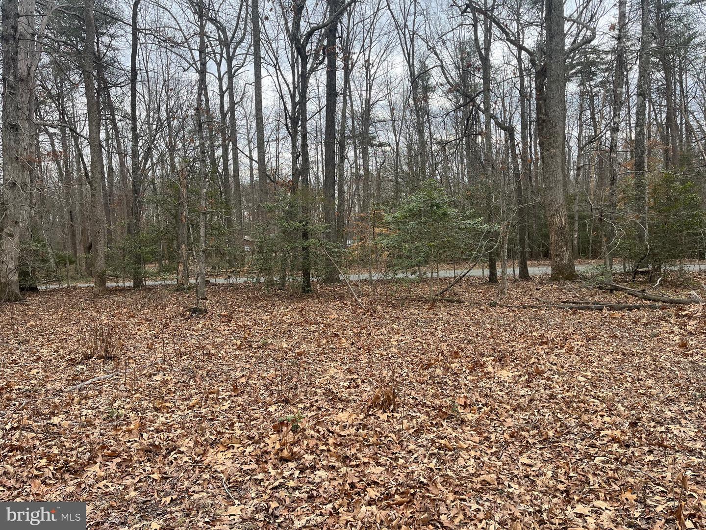 13220 BLACKWOOD FOREST DR, GOLDVEIN, Virginia 22720, ,Land,For sale,13220 BLACKWOOD FOREST DR,VAFQ2020702 MLS # VAFQ2020702 13220 BLACKWOOD FOREST DR, GOLDVEIN, Virginia 22720, ,Land,For sale,13220 BLACKWOOD FOREST DR,VAFQ2020702 MLS # VAFQ2020702