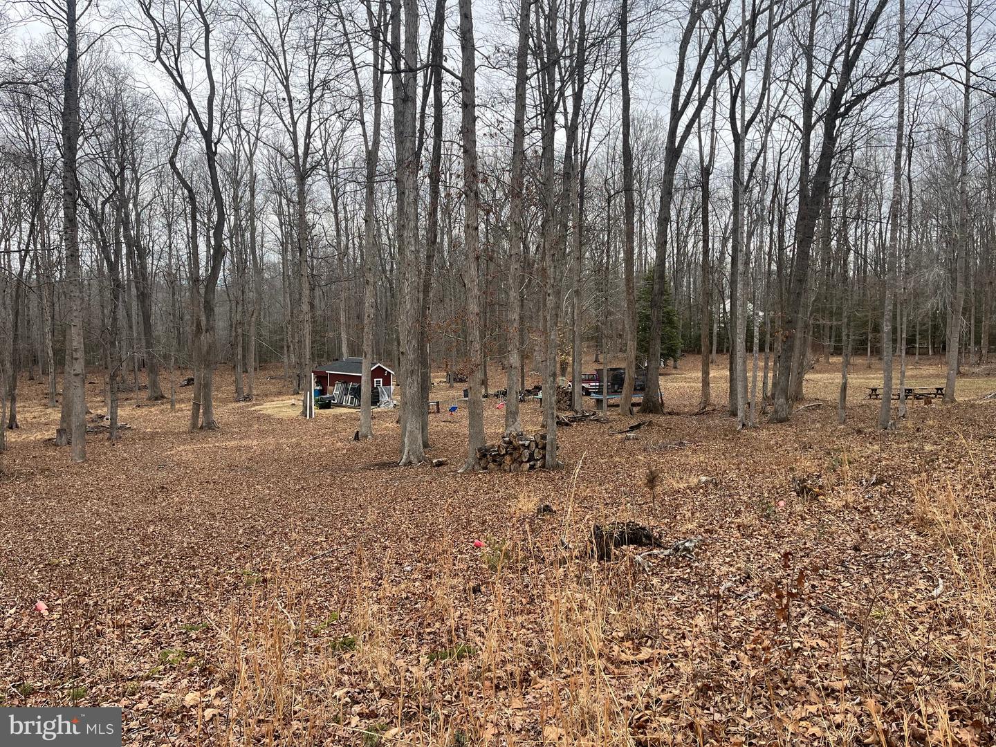 13220 BLACKWOOD FOREST DR, GOLDVEIN, Virginia 22720, ,Land,For sale,13220 BLACKWOOD FOREST DR,VAFQ2020702 MLS # VAFQ2020702 13220 BLACKWOOD FOREST DR, GOLDVEIN, Virginia 22720, ,Land,For sale,13220 BLACKWOOD FOREST DR,VAFQ2020702 MLS # VAFQ2020702