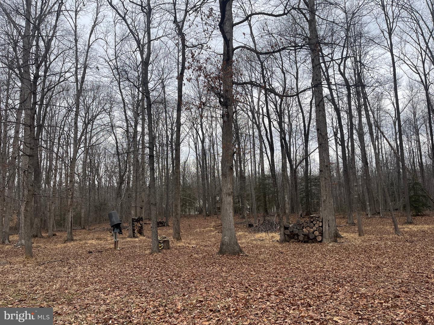 13220 BLACKWOOD FOREST DR, GOLDVEIN, Virginia 22720, ,Land,For sale,13220 BLACKWOOD FOREST DR,VAFQ2020702 MLS # VAFQ2020702 13220 BLACKWOOD FOREST DR, GOLDVEIN, Virginia 22720, ,Land,For sale,13220 BLACKWOOD FOREST DR,VAFQ2020702 MLS # VAFQ2020702