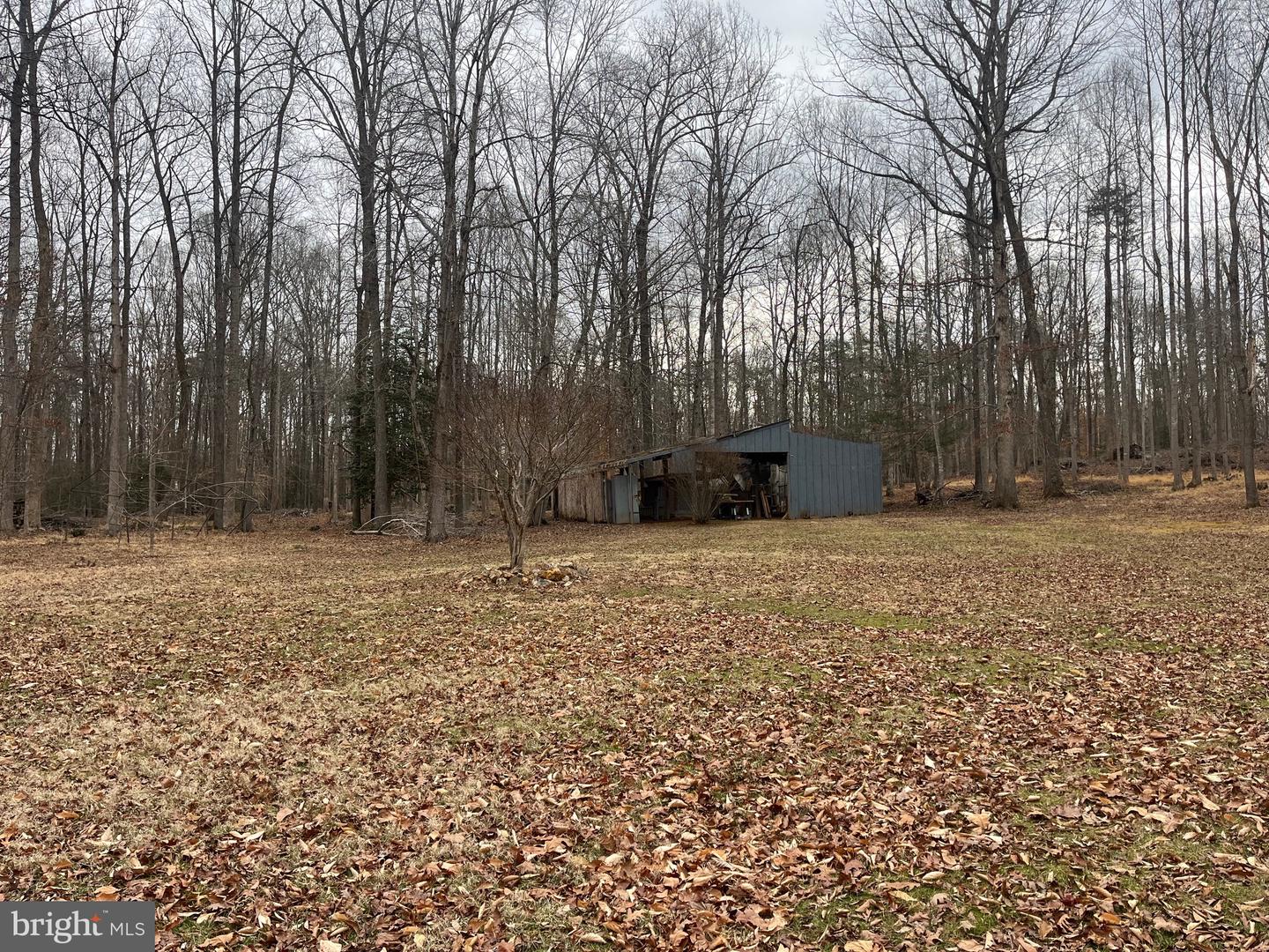 13220 BLACKWOOD FOREST DR, GOLDVEIN, Virginia 22720, ,Land,For sale,13220 BLACKWOOD FOREST DR,VAFQ2020702 MLS # VAFQ2020702 13220 BLACKWOOD FOREST DR, GOLDVEIN, Virginia 22720, ,Land,For sale,13220 BLACKWOOD FOREST DR,VAFQ2020702 MLS # VAFQ2020702