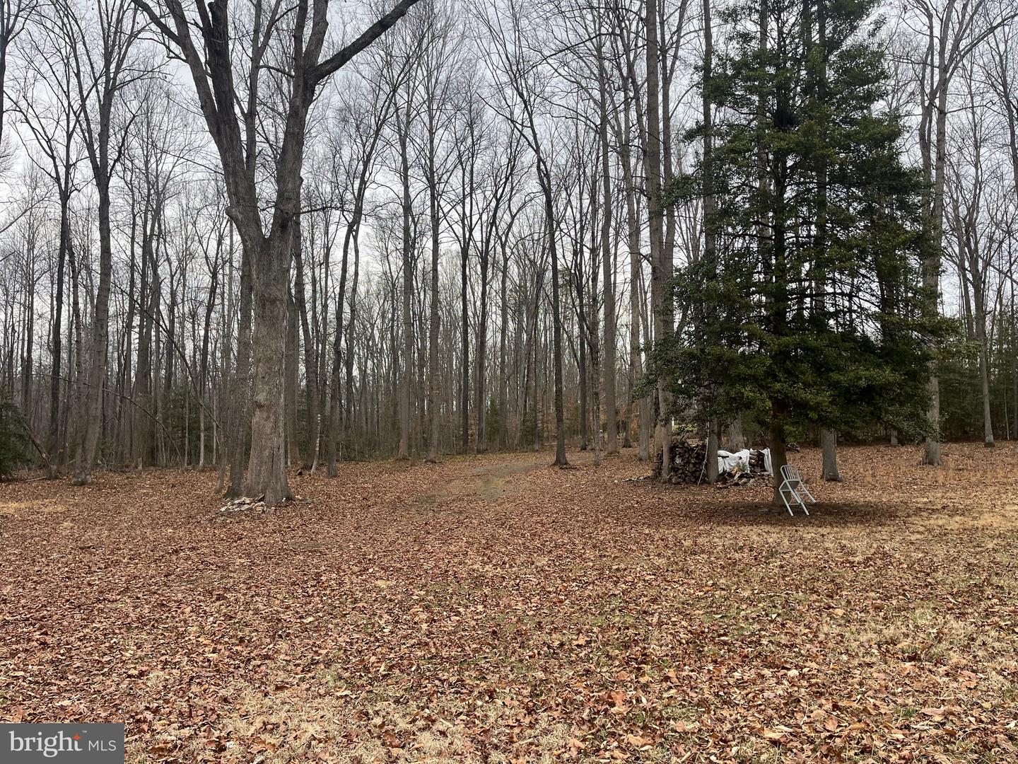 13220 BLACKWOOD FOREST DR, GOLDVEIN, Virginia 22720, ,Land,For sale,13220 BLACKWOOD FOREST DR,VAFQ2020702 MLS # VAFQ2020702 13220 BLACKWOOD FOREST DR, GOLDVEIN, Virginia 22720, ,Land,For sale,13220 BLACKWOOD FOREST DR,VAFQ2020702 MLS # VAFQ2020702