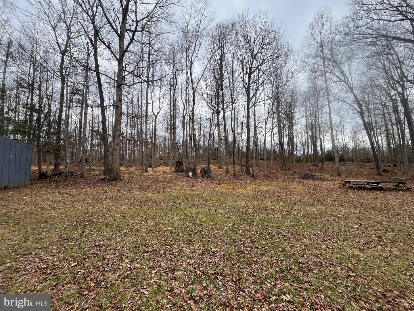 13220 BLACKWOOD FOREST DR, GOLDVEIN, Virginia 22720, ,Land,For sale,13220 BLACKWOOD FOREST DR,VAFQ2020702 MLS # VAFQ2020702 13220 BLACKWOOD FOREST DR, GOLDVEIN, Virginia 22720, ,Land,For sale,13220 BLACKWOOD FOREST DR,VAFQ2020702 MLS # VAFQ2020702