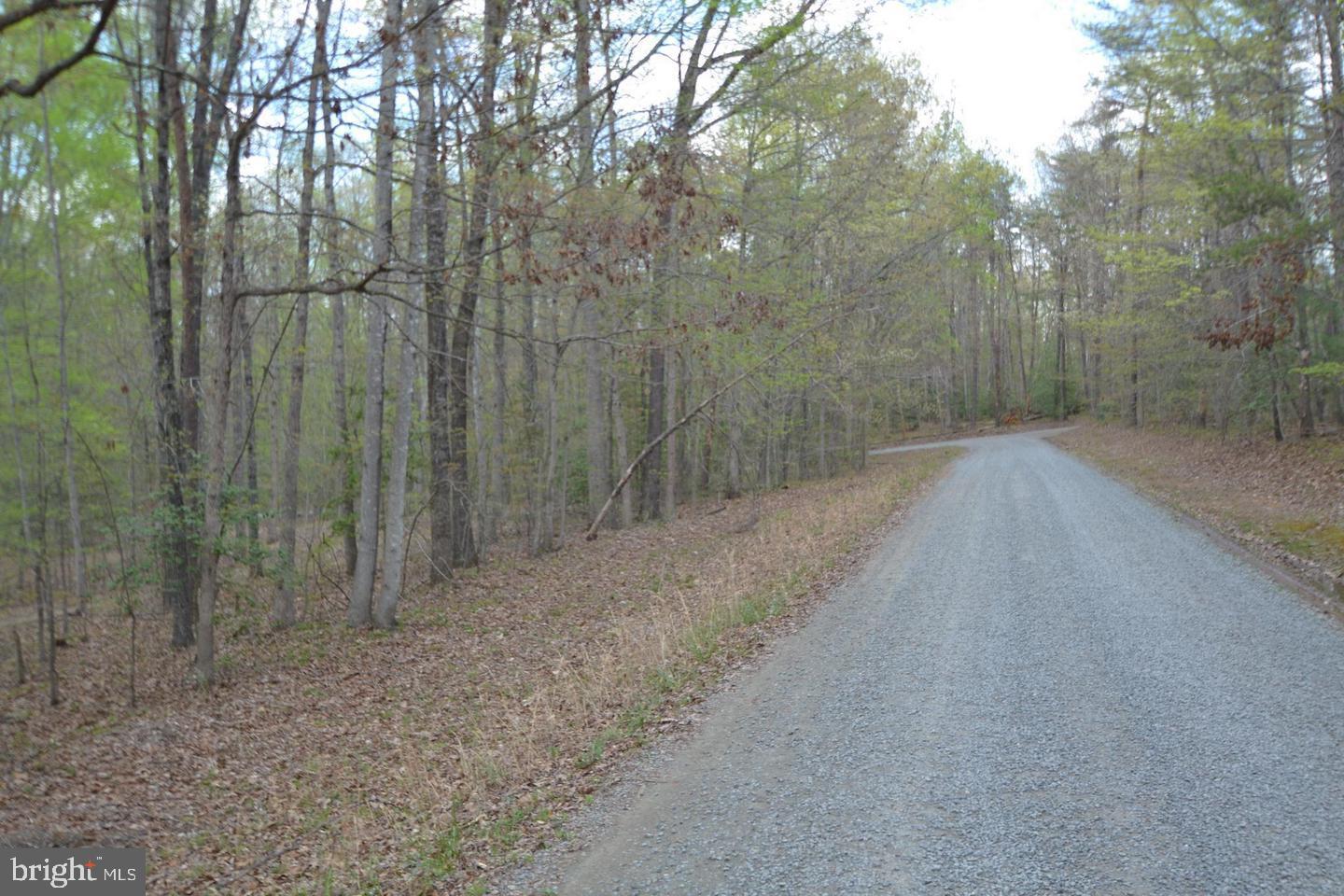 13220 BLACKWOOD FOREST DR, GOLDVEIN, Virginia 22720, ,Land,For sale,13220 BLACKWOOD FOREST DR,VAFQ2020702 MLS # VAFQ2020702 13220 BLACKWOOD FOREST DR, GOLDVEIN, Virginia 22720, ,Land,For sale,13220 BLACKWOOD FOREST DR,VAFQ2020702 MLS # VAFQ2020702