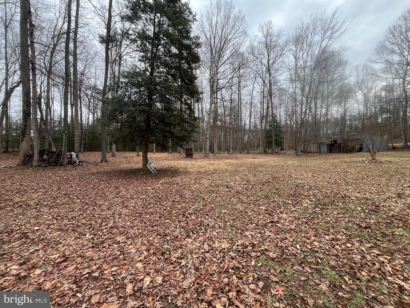 13220 BLACKWOOD FOREST DR, GOLDVEIN, Virginia 22720, ,Land,For sale,13220 BLACKWOOD FOREST DR,VAFQ2020702 MLS # VAFQ2020702 13220 BLACKWOOD FOREST DR, GOLDVEIN, Virginia 22720, ,Land,For sale,13220 BLACKWOOD FOREST DR,VAFQ2020702 MLS # VAFQ2020702