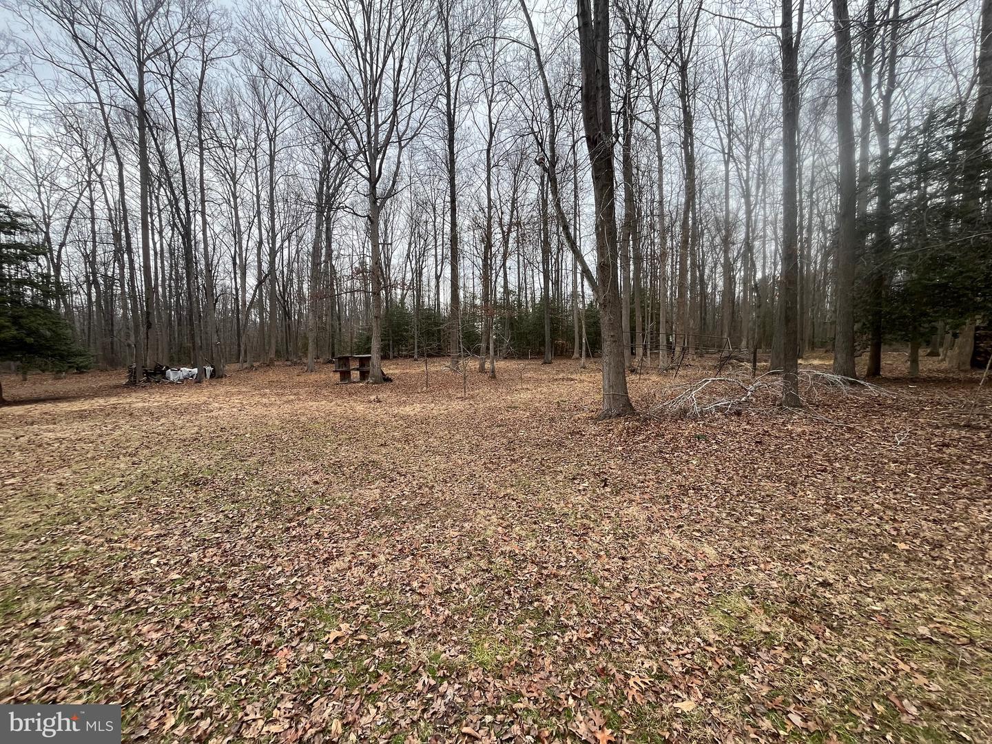 13220 BLACKWOOD FOREST DR, GOLDVEIN, Virginia 22720, ,Land,For sale,13220 BLACKWOOD FOREST DR,VAFQ2020702 MLS # VAFQ2020702 13220 BLACKWOOD FOREST DR, GOLDVEIN, Virginia 22720, ,Land,For sale,13220 BLACKWOOD FOREST DR,VAFQ2020702 MLS # VAFQ2020702