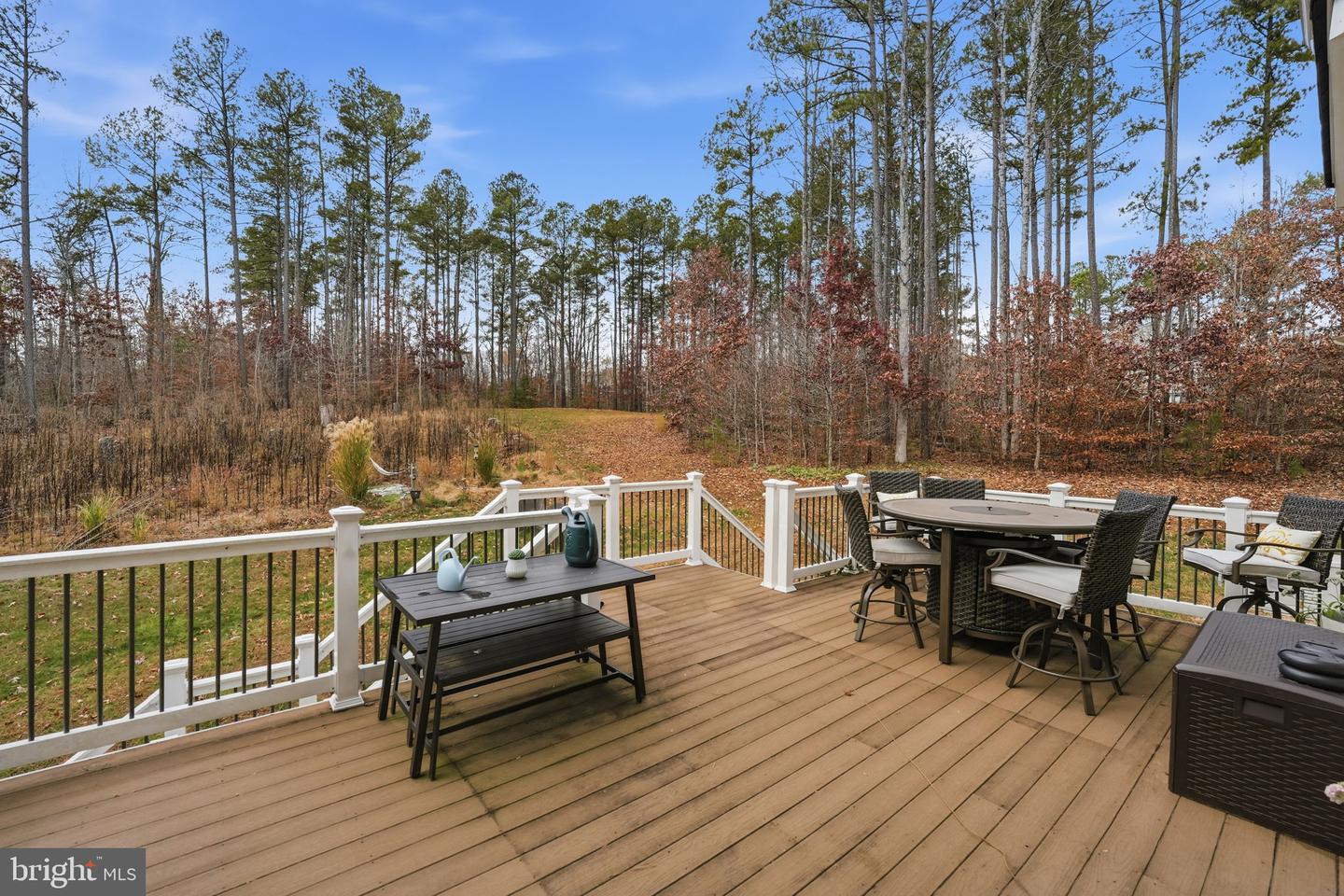 51 SERENE HILLS DR, FREDERICKSBURG, Virginia 22406, 5 Bedrooms Bedrooms, ,4 BathroomsBathrooms,Residential,For sale,51 SERENE HILLS DR,VAST2044226 MLS # VAST2044226