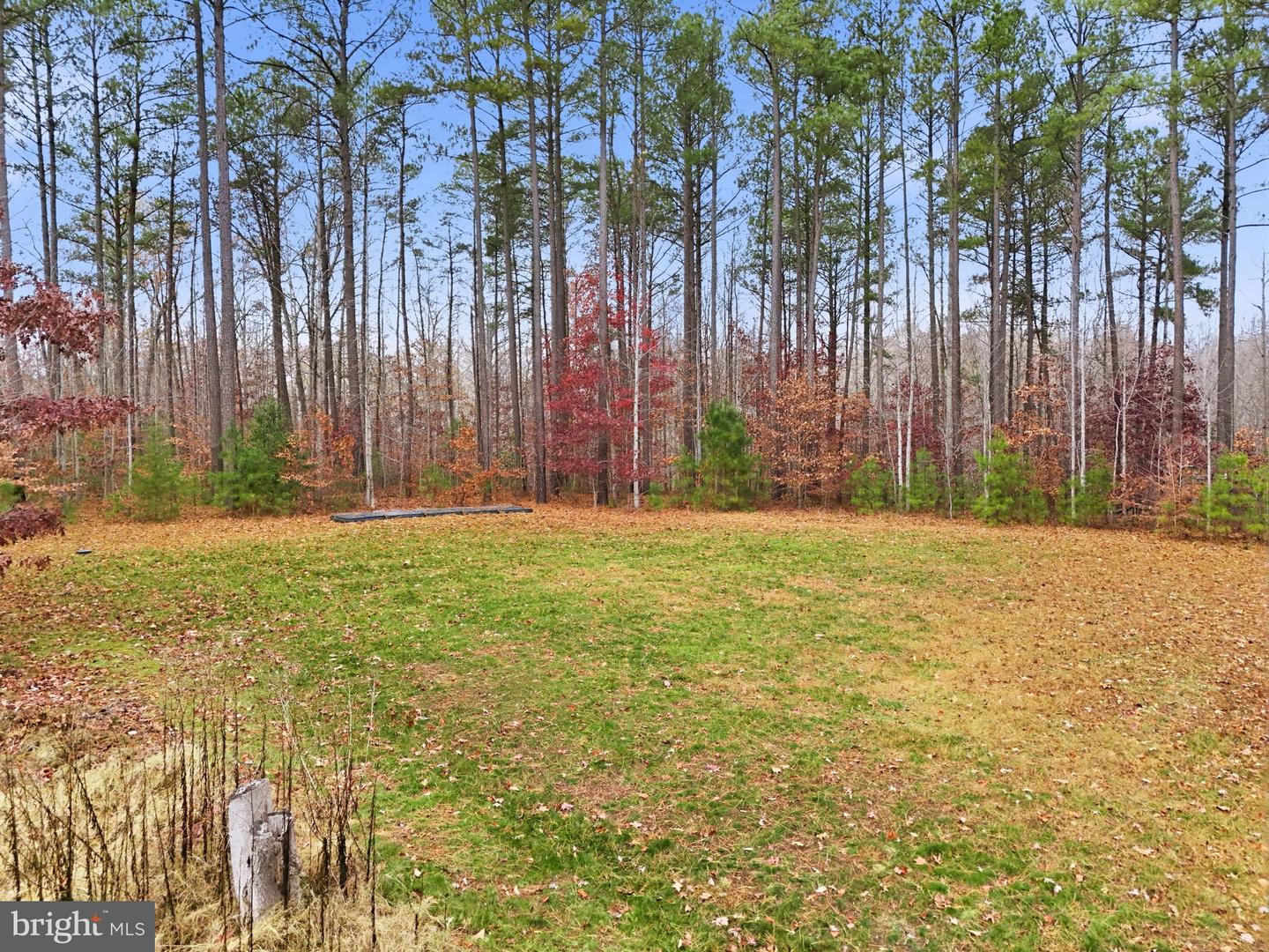 51 SERENE HILLS DR, FREDERICKSBURG, Virginia 22406, 5 Bedrooms Bedrooms, ,4 BathroomsBathrooms,Residential,For sale,51 SERENE HILLS DR,VAST2044226 MLS # VAST2044226