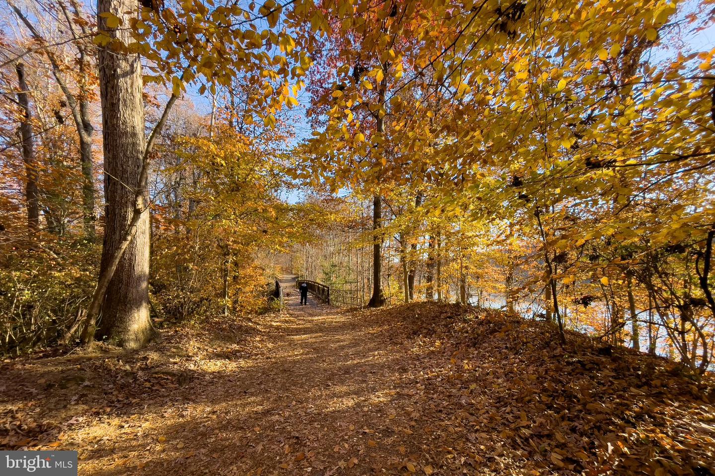 5937 ATTEENTEE RD, SPRINGFIELD, Virginia 22150, 4 Bedrooms Bedrooms, ,1 BathroomBathrooms,Residential,For sale,5937 ATTEENTEE RD,VAFX2287084 MLS # VAFX2287084 5937 ATTEENTEE RD, SPRINGFIELD, Virginia 22150, 4 Bedrooms Bedrooms, ,1 BathroomBathrooms,Residential,For sale,5937 ATTEENTEE RD,VAFX2287084 MLS # VAFX2287084